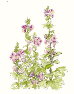 Flowers 10