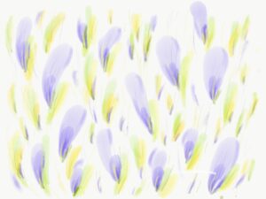 Flowers 9