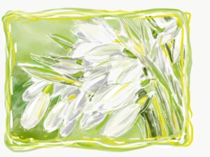 Flowers 2