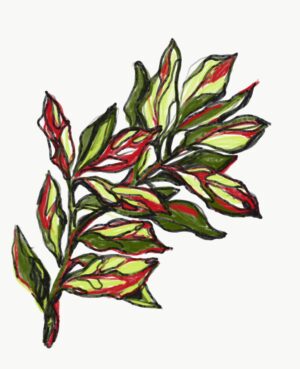 Branch 1