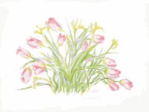 Flowers 8
