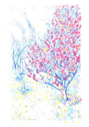 The Gustav's Garden