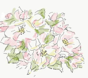 Flowers 11